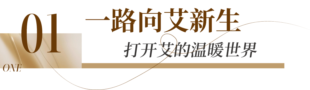 国医仲景艾灸馆加盟