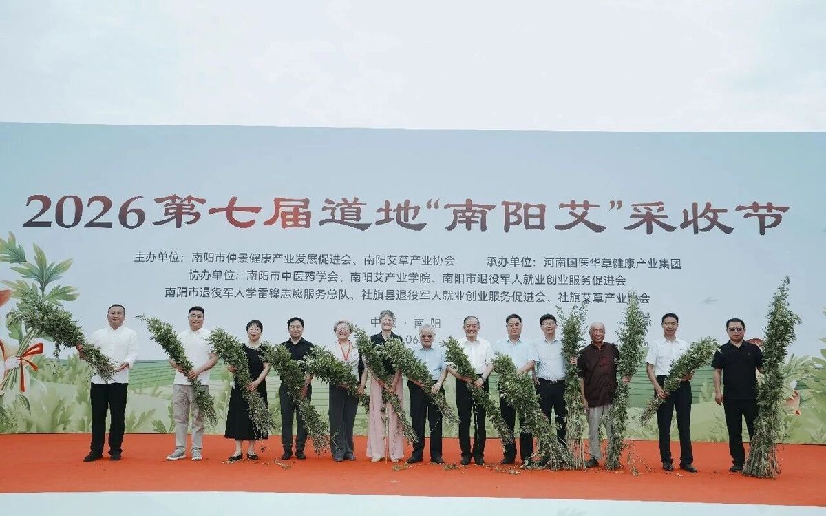 国医仲景艾灸馆加盟