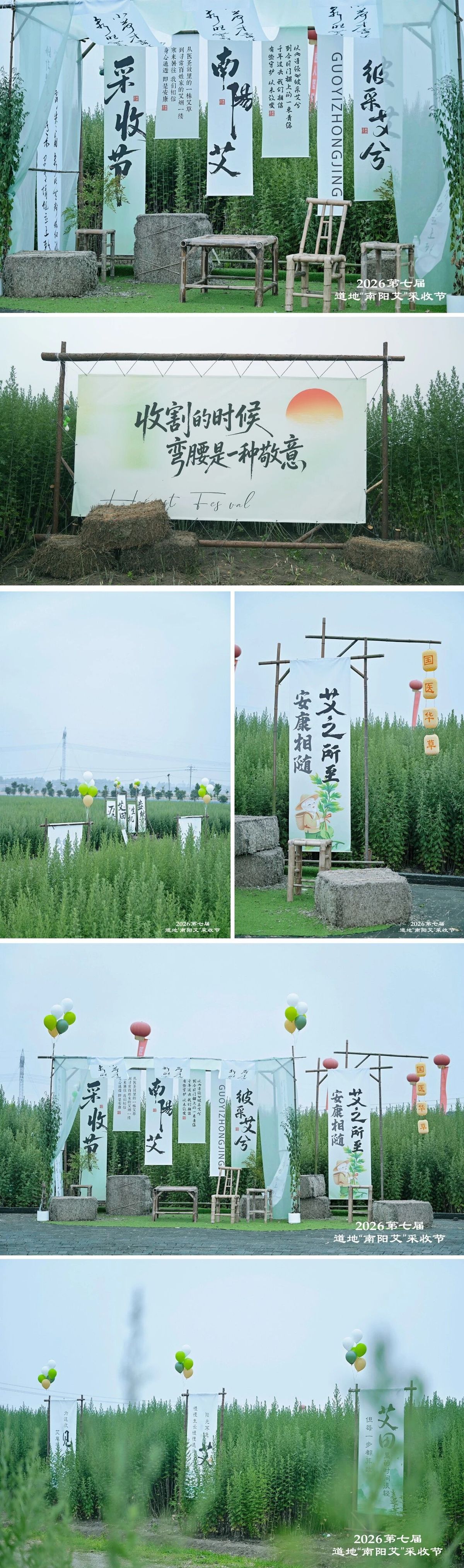 国医仲景艾灸馆加盟