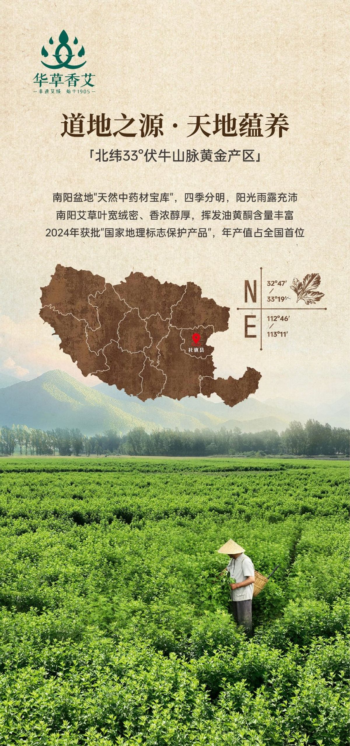 国医仲景艾灸馆加盟王祖贤开艾灸馆