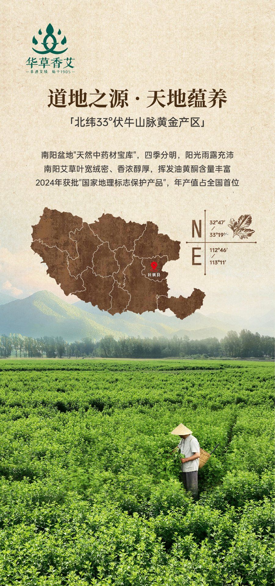 国医仲景艾灸馆加盟王祖贤开艾灸馆