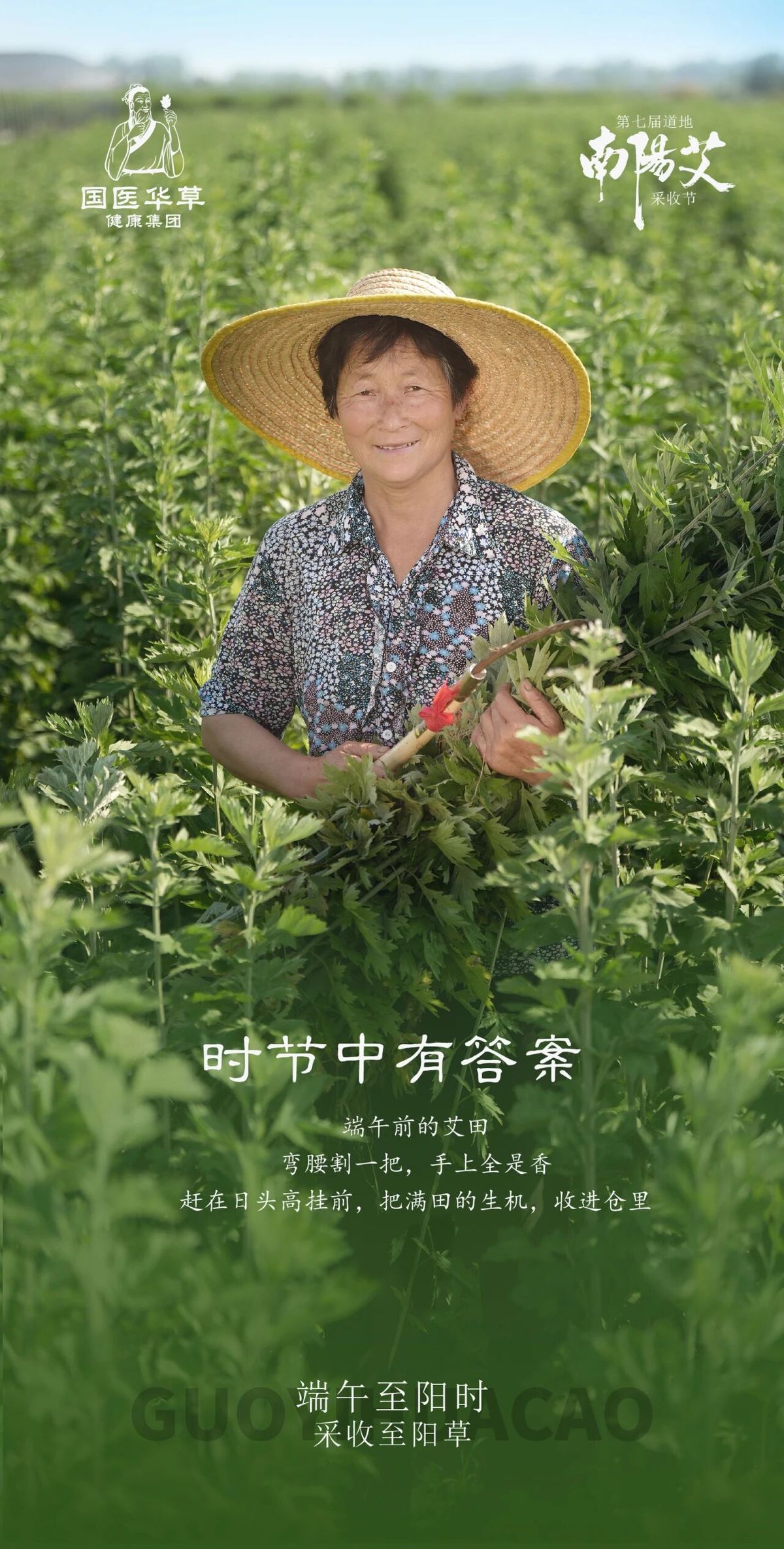 国医仲景艾灸馆加盟