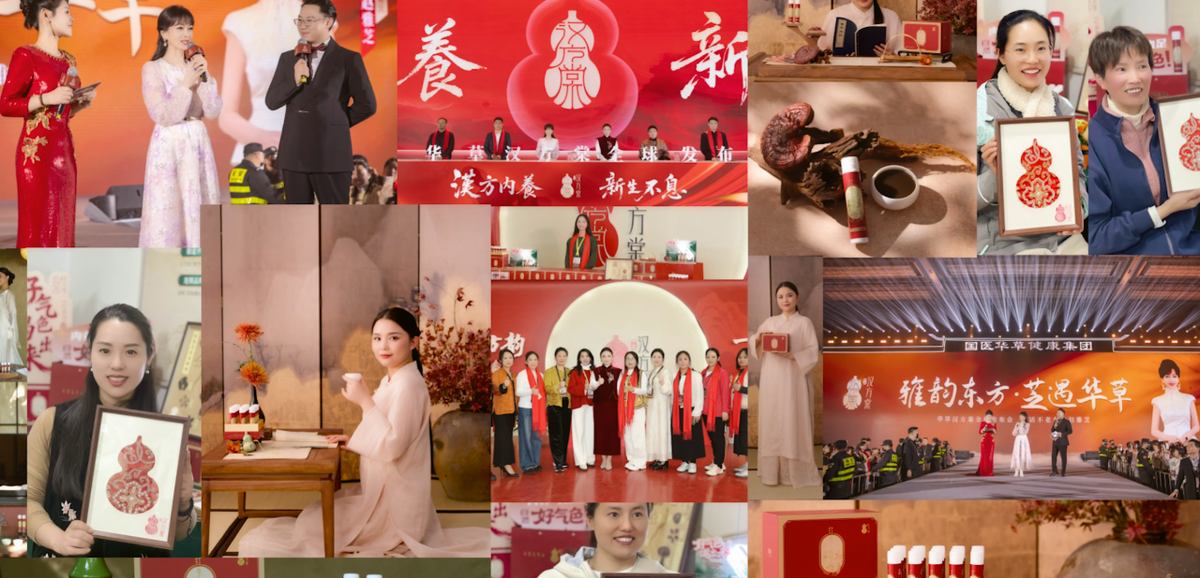 国医仲景加盟气血饮