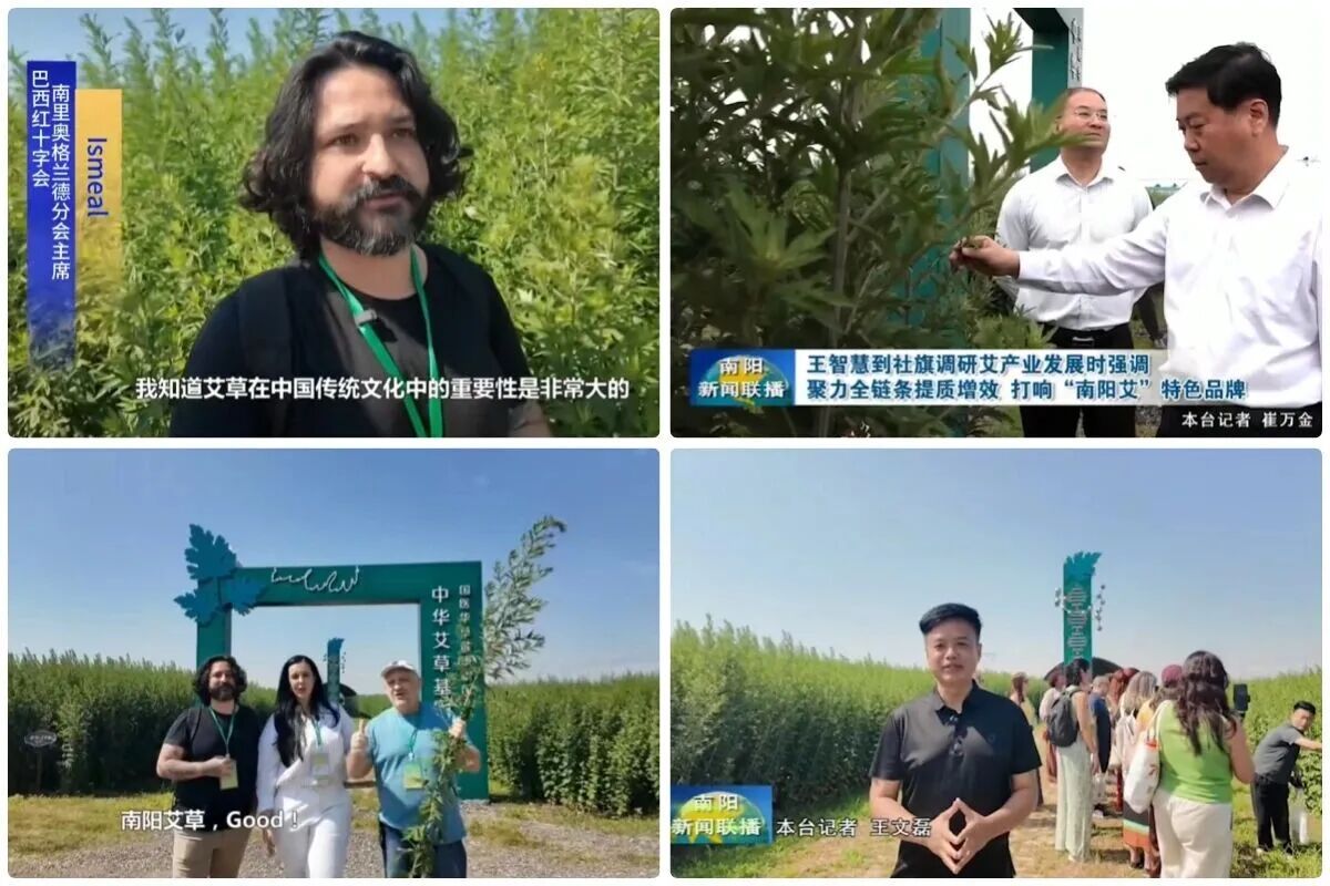 国医仲景艾灸馆加盟