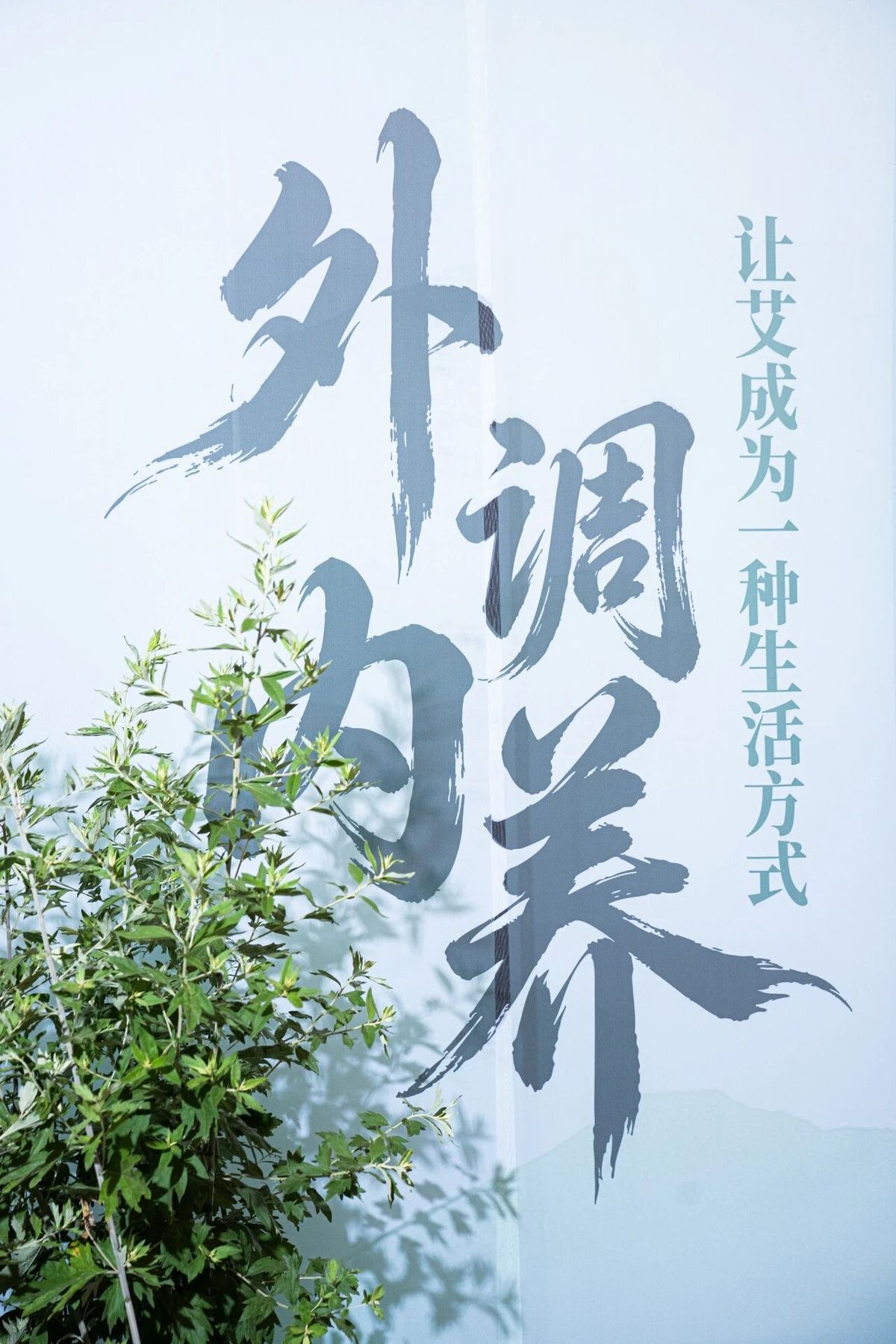 国医仲景艾灸馆加盟