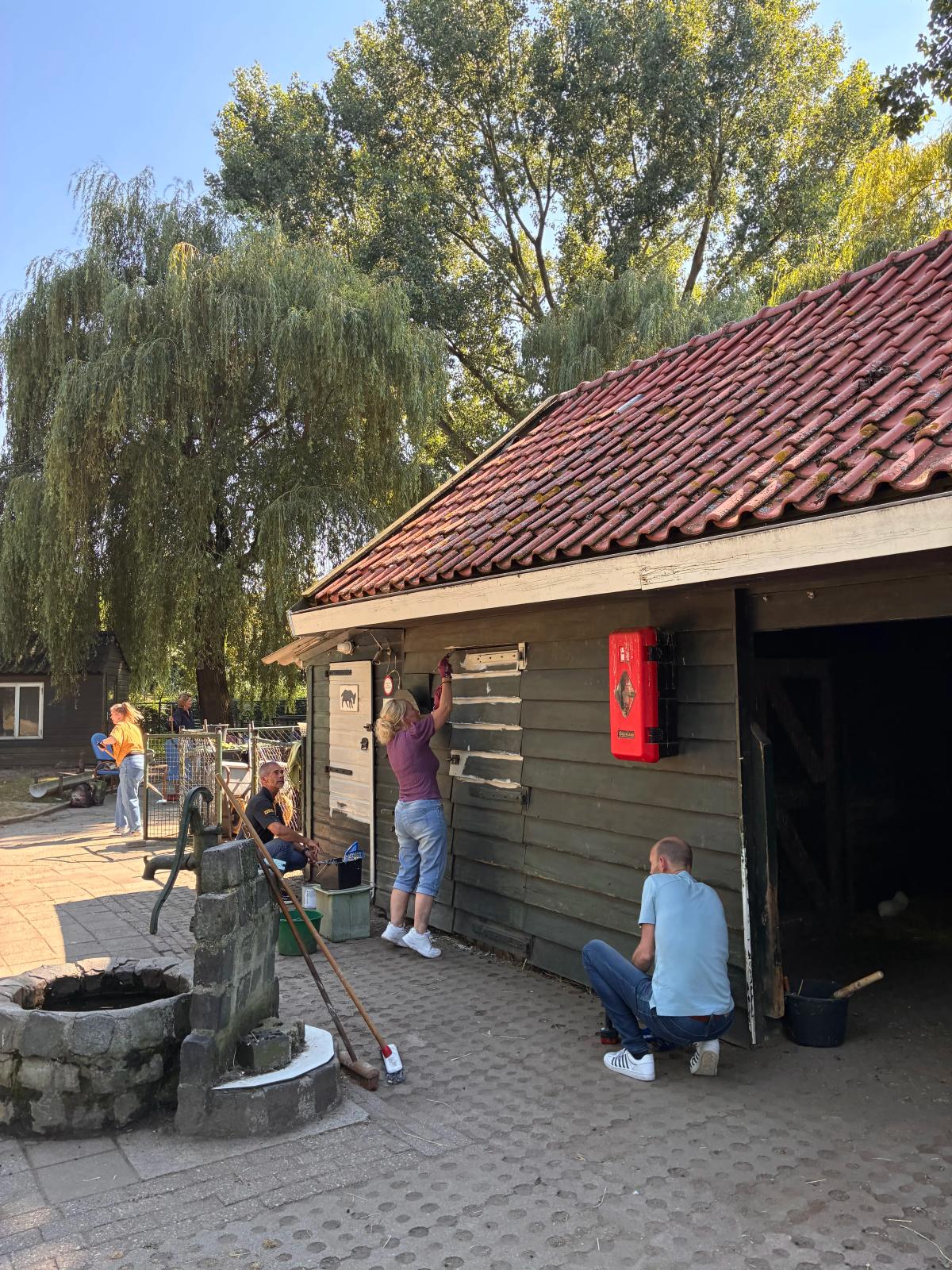 Collega’s van Human Total Care pakken aan op kinderboerderij Geitenbrij