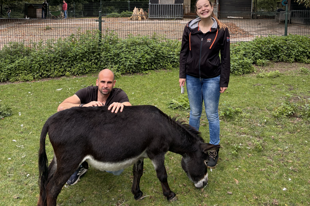 ProRail-vrijwilligers verzorgen een ezel op de dierenweide in Vleuten