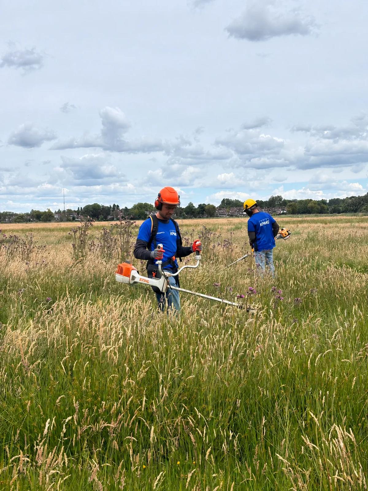 KPMG doet samen met de doelgroep onderhoud op een zorgboerderij