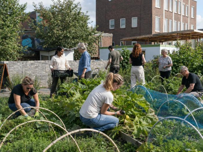 Werken in de voedseltuin