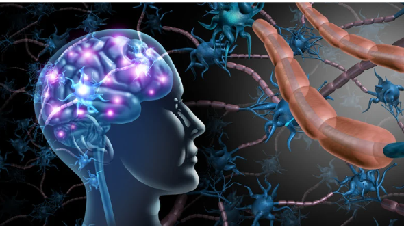 Overprikkeling: Te veel prikkels, te weinig rust? Welkom bij de club.