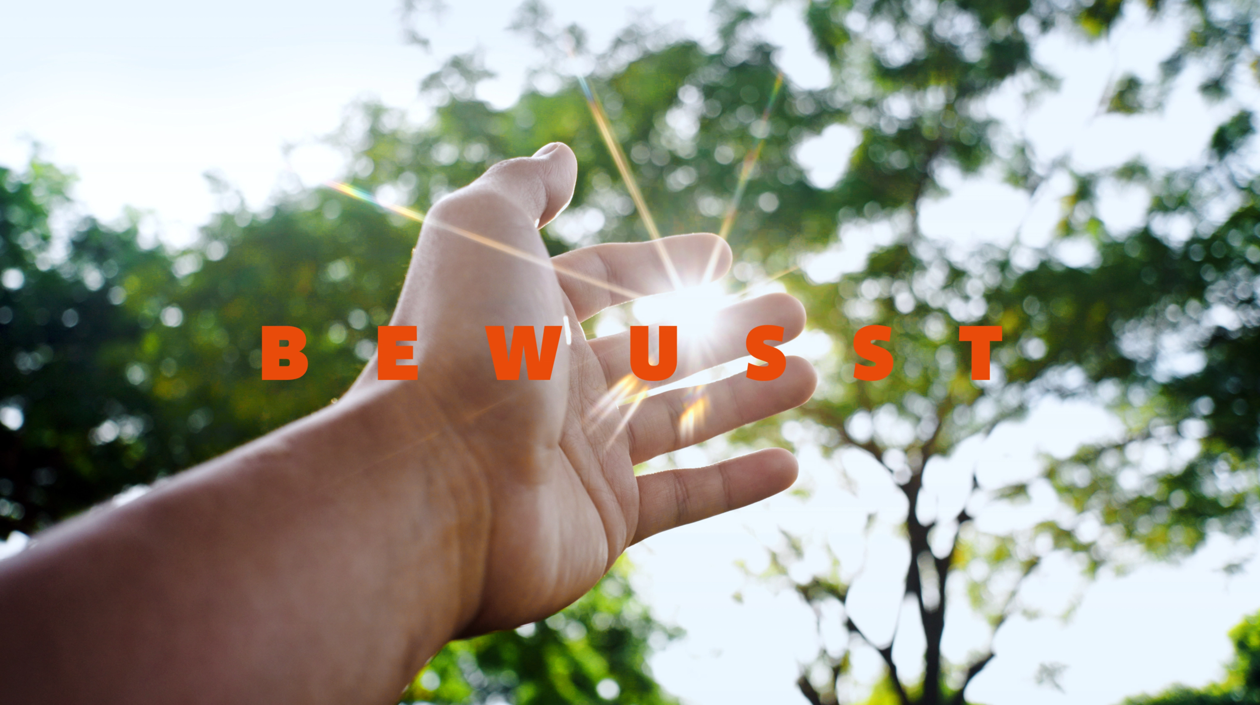 Hand vor Bäumen und Schriftzug BEWUSST