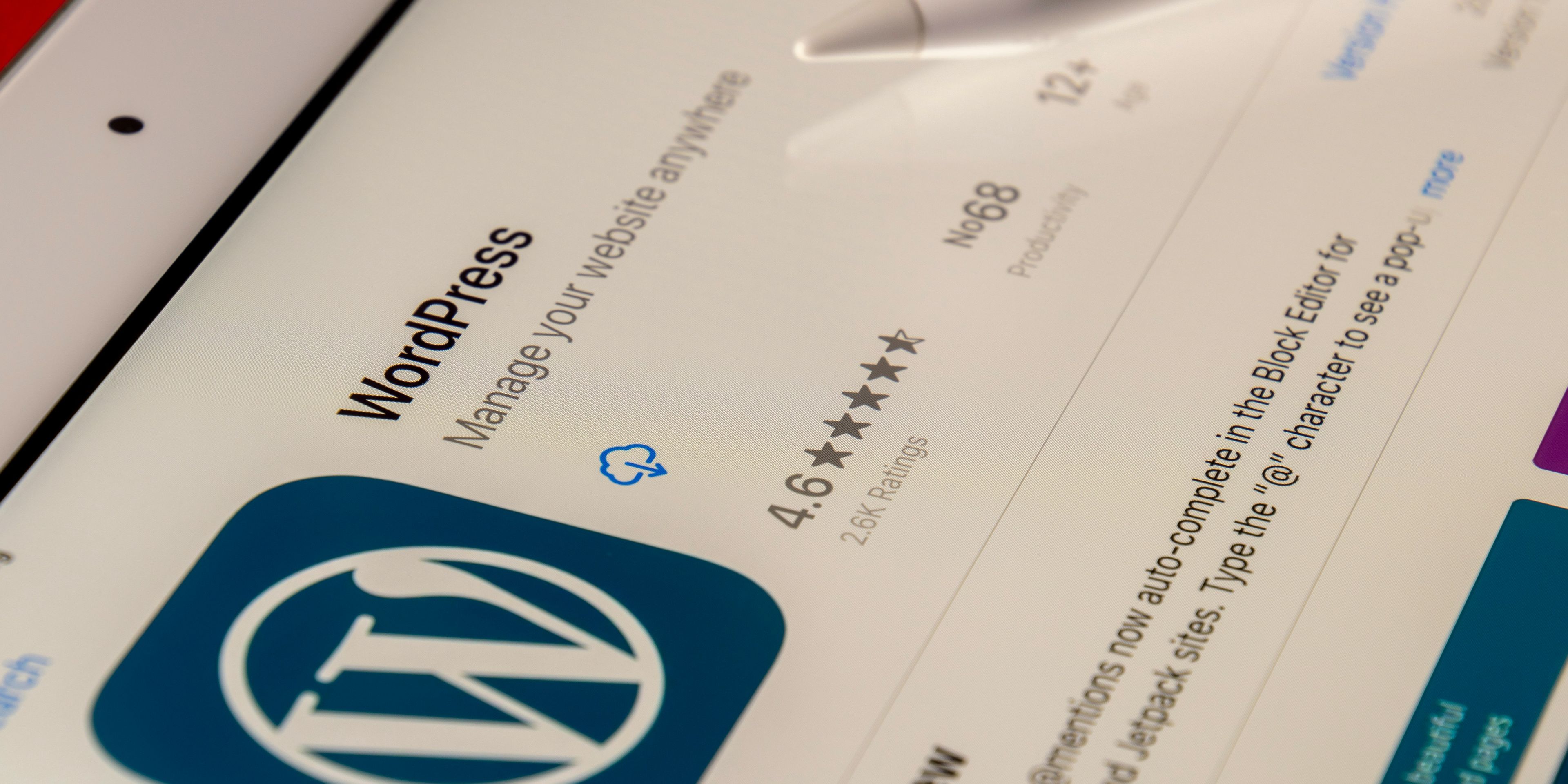 wordpress