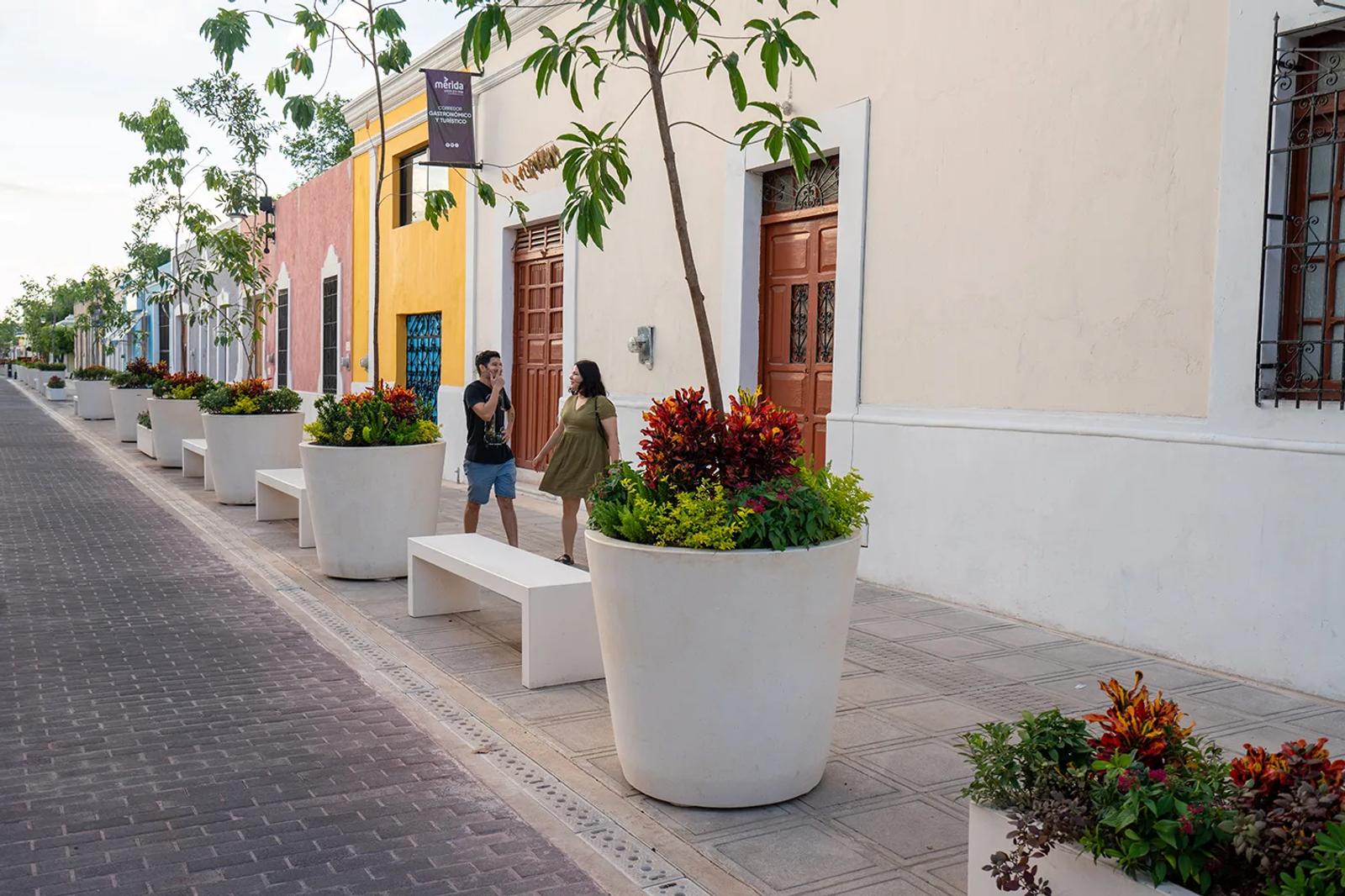 CALLE 47, MÉRIDA, MX