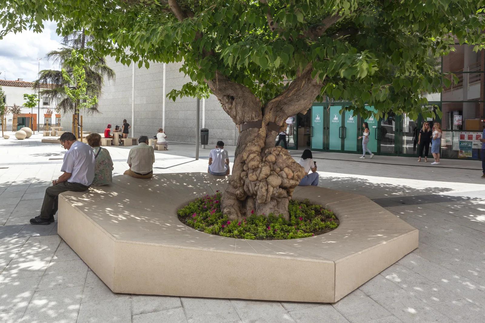 PLAZA DE LA GUARDIA CIVIL, PARLA, MADRID, ES