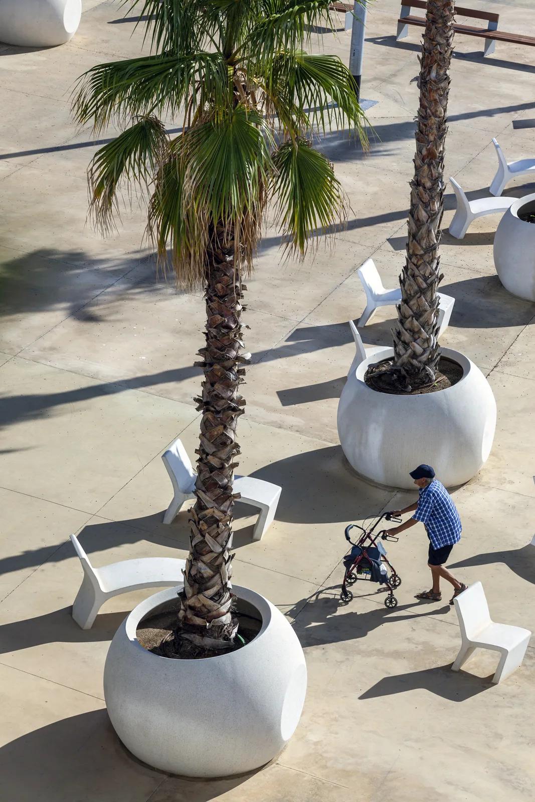 PASSEIG MARÍTIM DE BADALONA, CATALUNYA, ES