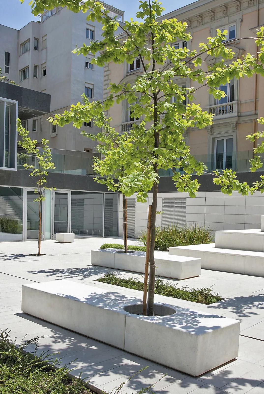 BRITISH COUNCIL SCHOOL, MADRID, ES