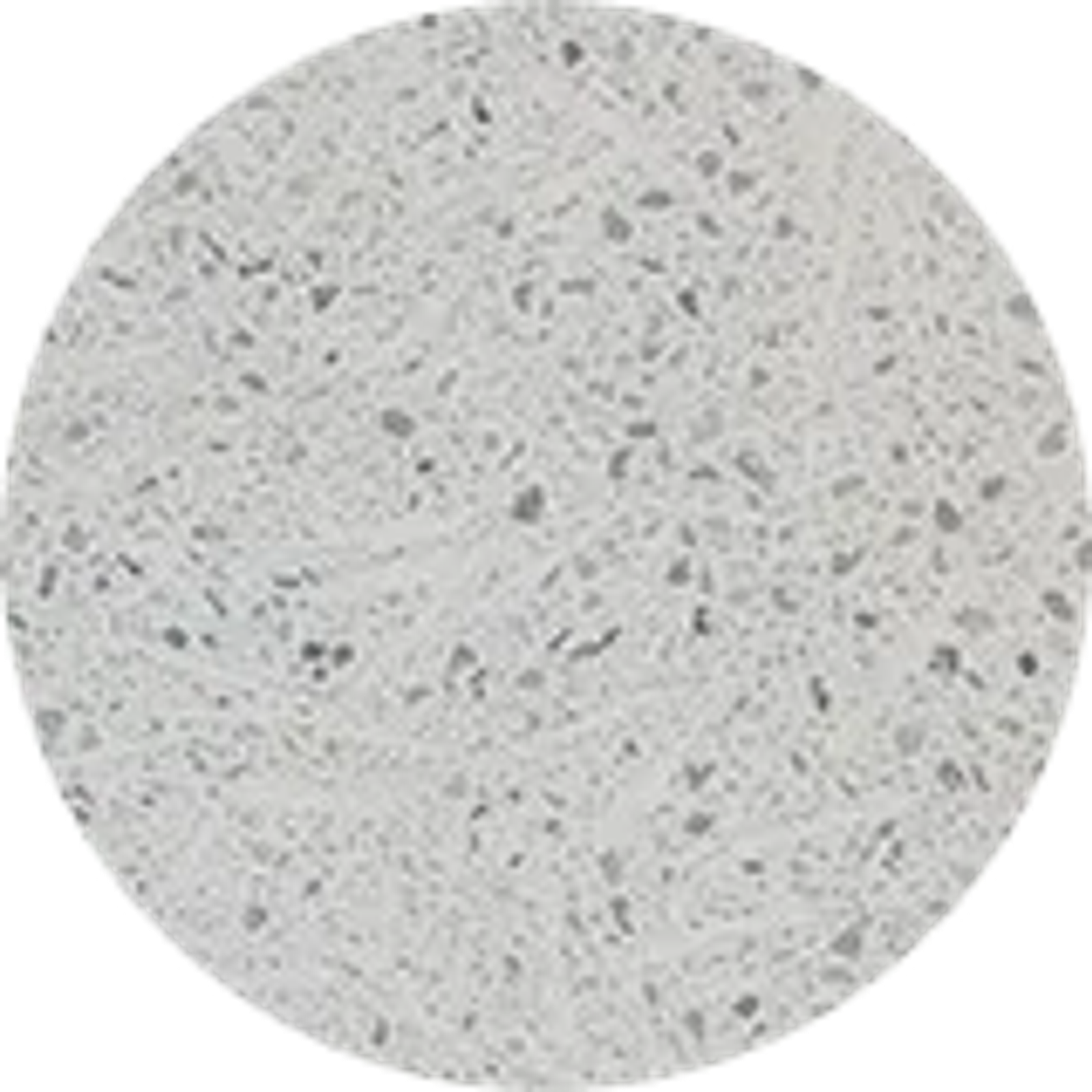 Color swatch: UHPC Escofet Blanco