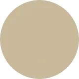 Unlabelled color swatch