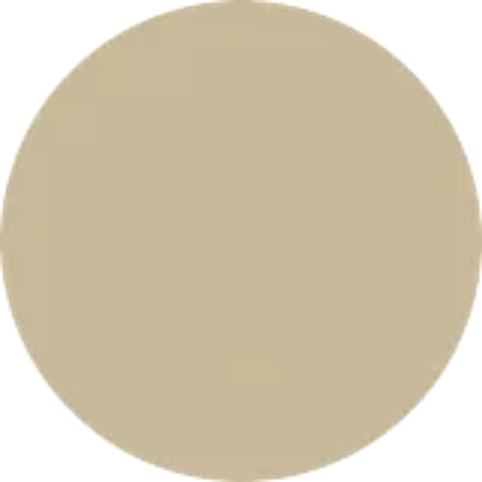 Unlabelled color swatch