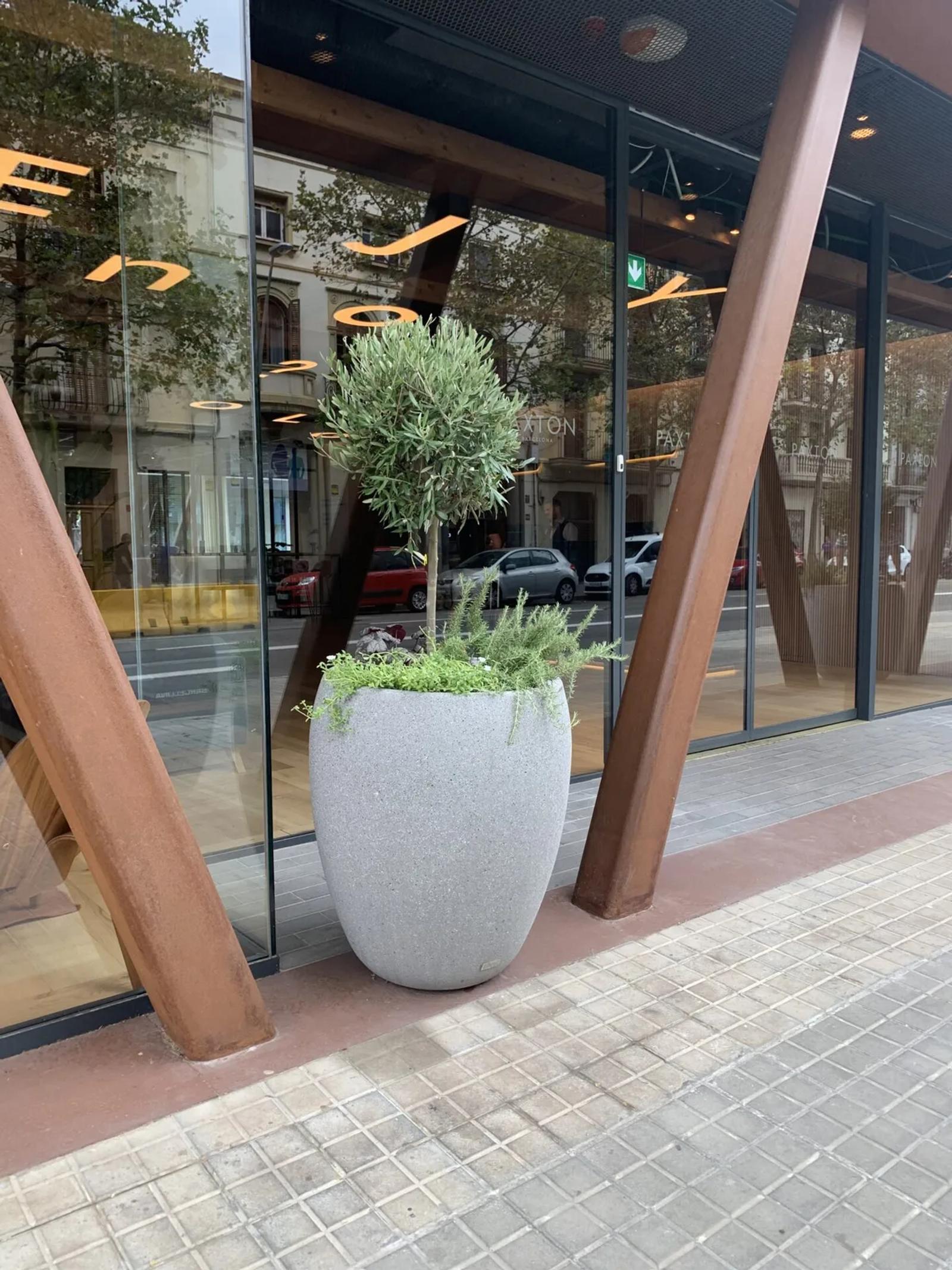 POBLENOU, BARCELONA, CATALUNYA, ES