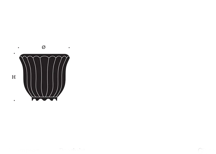 Specifications