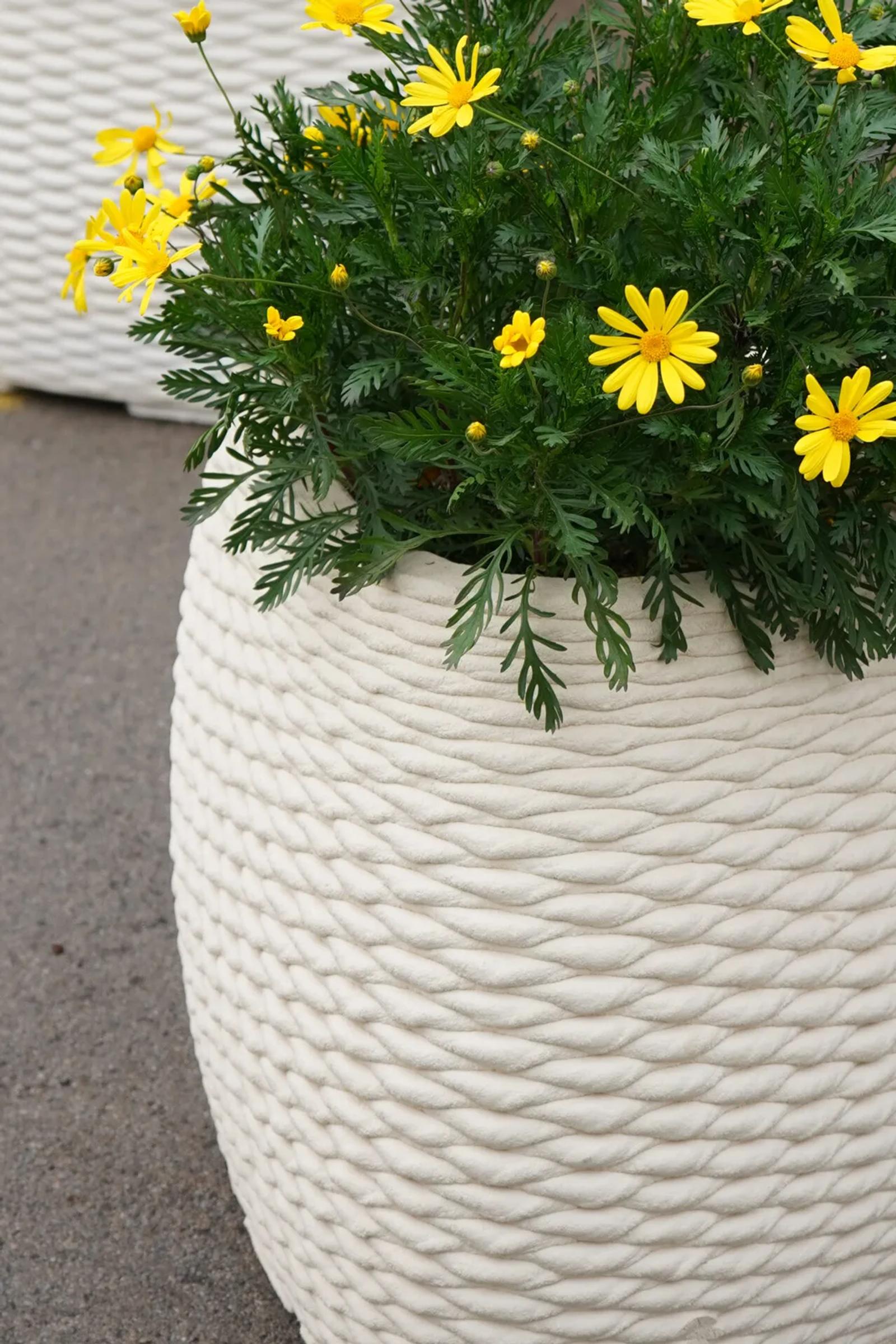 Vímet