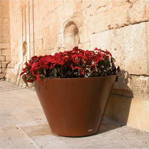Dama