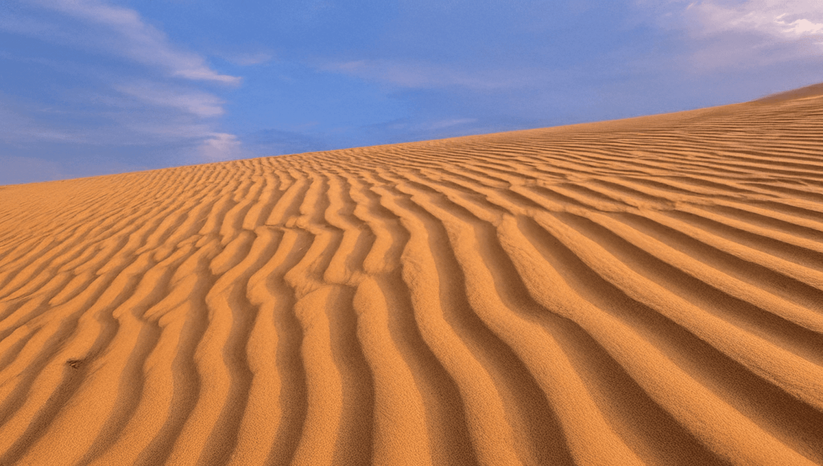 Executive Guide to Strategic Alignment: How to Keep Strategy and Execution Moving as One