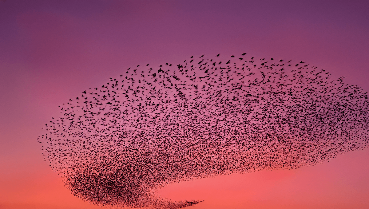 Alignment: The Engine of High-Performance Execution