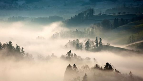 Why Strategies Fail: Closing the Strategy-Market Gap