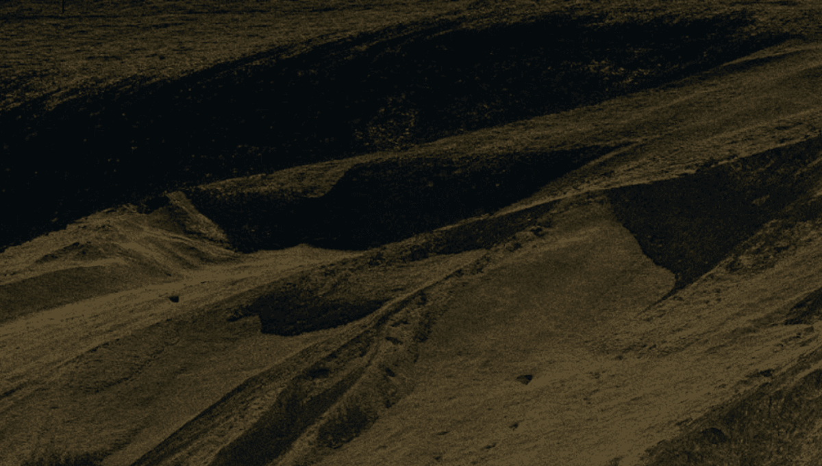 PMI with Intelligent Management System: Win the First 100 Days