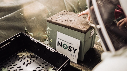 Beehive with NOSY Creative Agency plaque