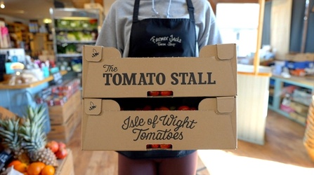 growing tomatoes