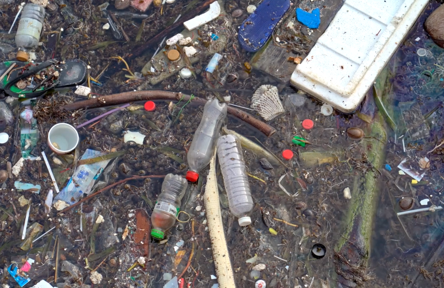 The Vital Connection - Humans and Nature Coexisting Harmoniously