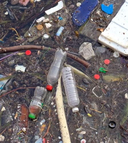 The Vital Connection - Humans and Nature Coexisting Harmoniously