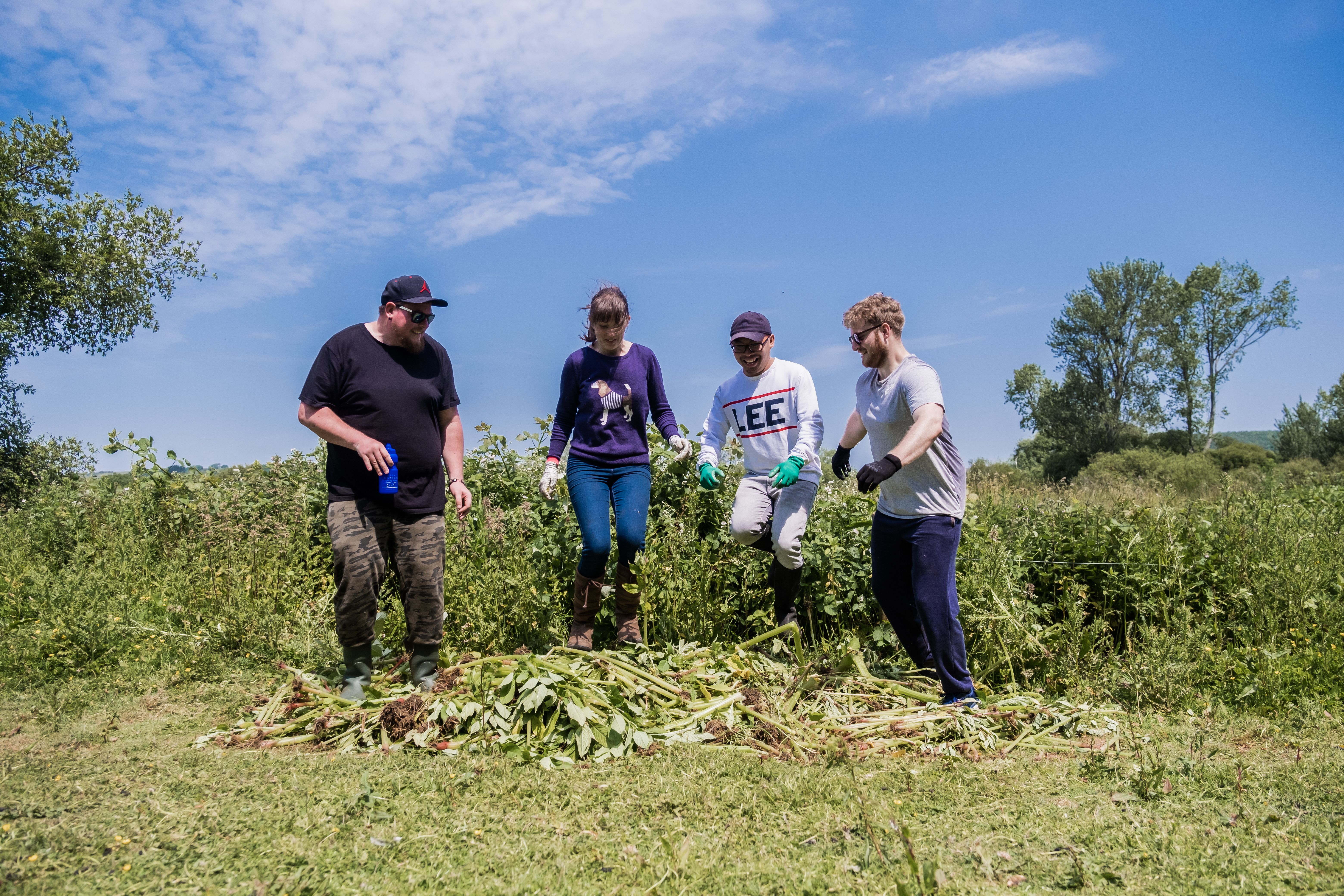 NOSY team balsam stomping