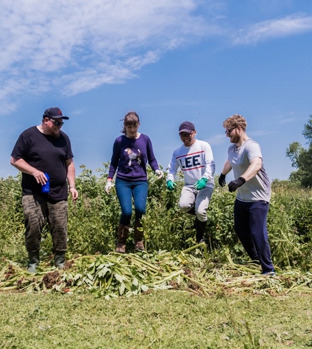 NOSY team balsam stomping