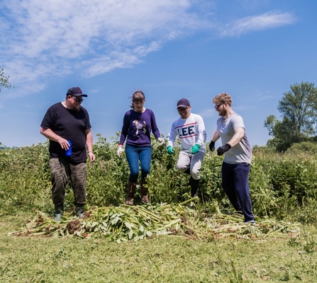 NOSY team balsam stomping