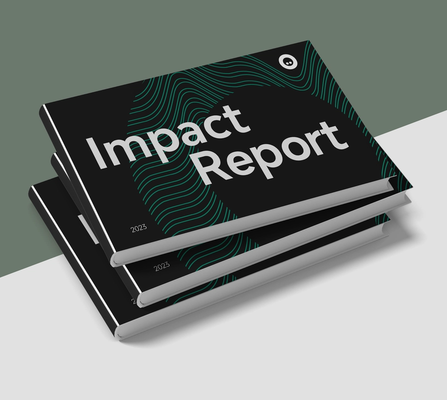 NOSY Impact Report document