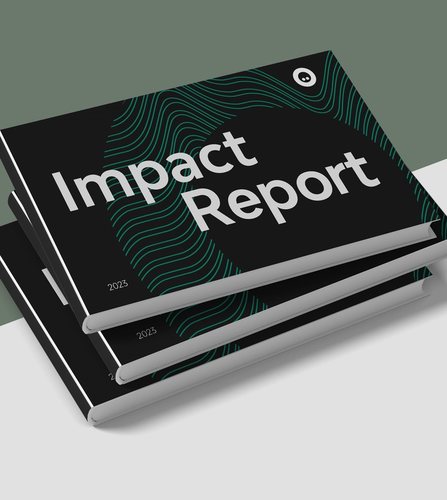NOSY Impact Report document