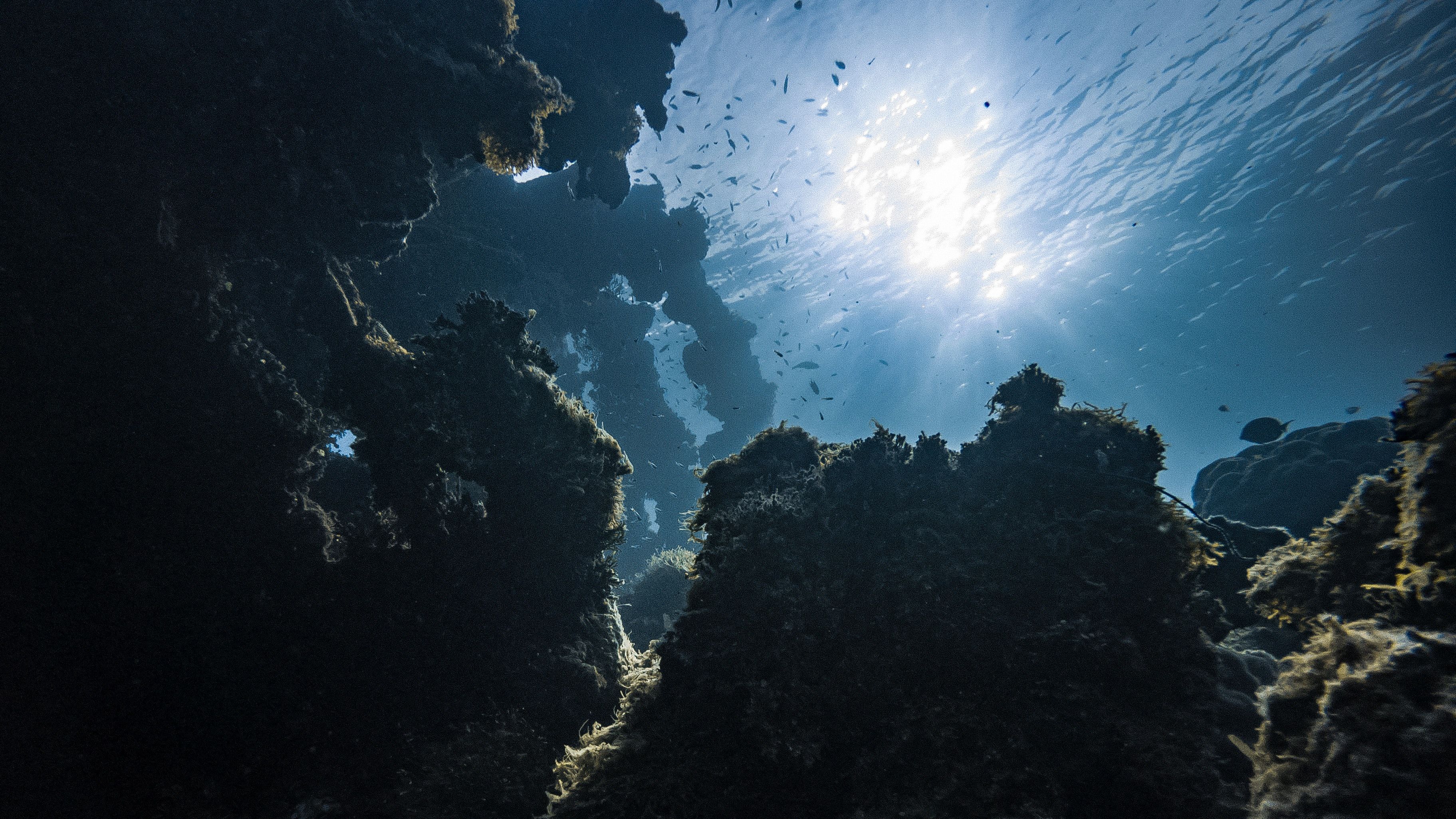 Still image from the Innovate UK EDGE RS AQUA film