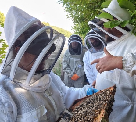 bees and scotts replacement