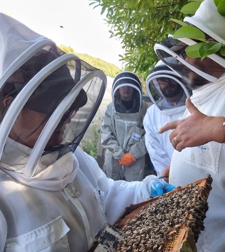 bees and scotts replacement