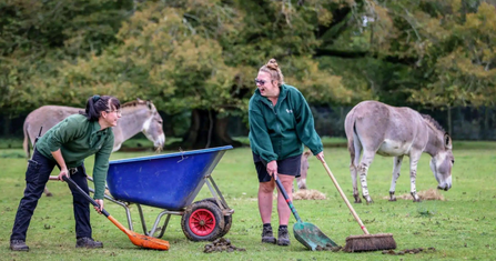 Staff at Marwell zoo collecting animal poo