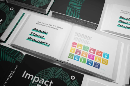 An excerpt of pages from NOSY Impact Report document