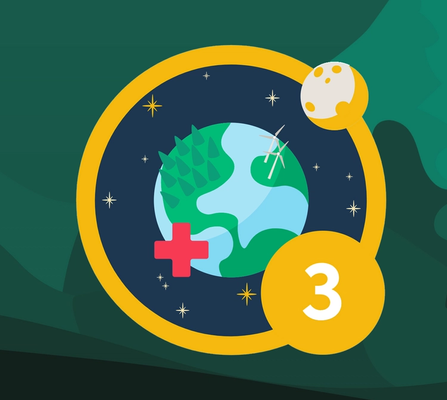 NOSY is celebrating 3 months of being carbon positive