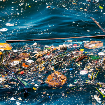 A photo depicting rubbish & debris in water ways