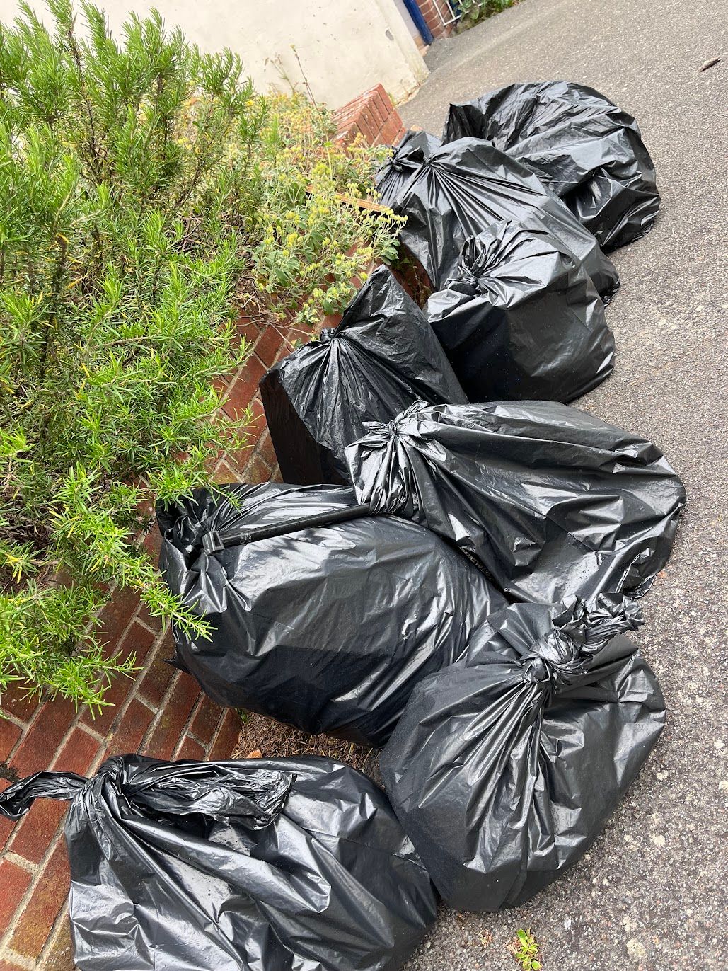 A photo of some of the rubbish we collect at Rubbish Networking, at Seaclose Park, Newport
