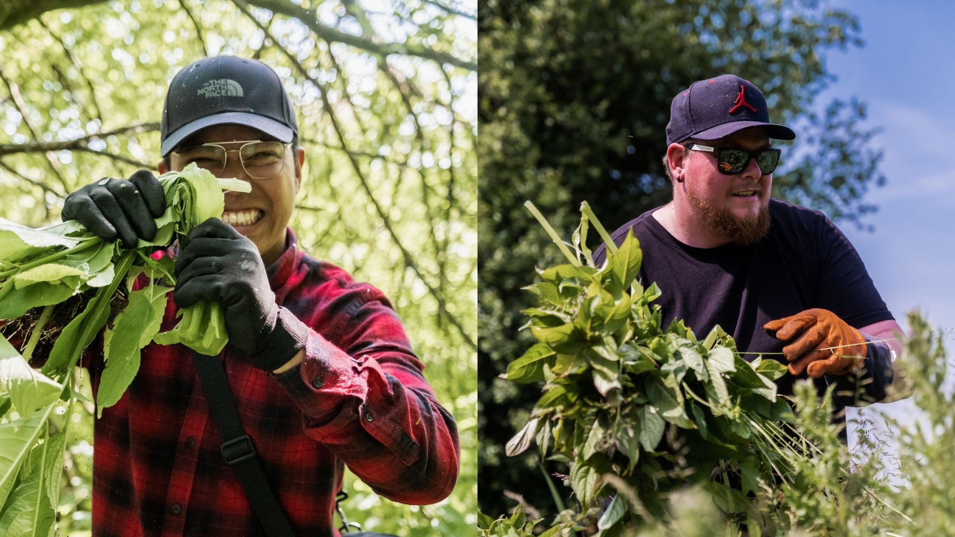 Francis and Scott - Balsam Pulling