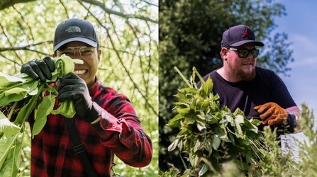 Francis and Scott - Balsam Pulling